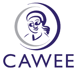 Visits Website